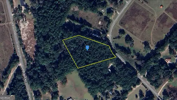 545 Homestead Drive, Ellabell, GA 31308