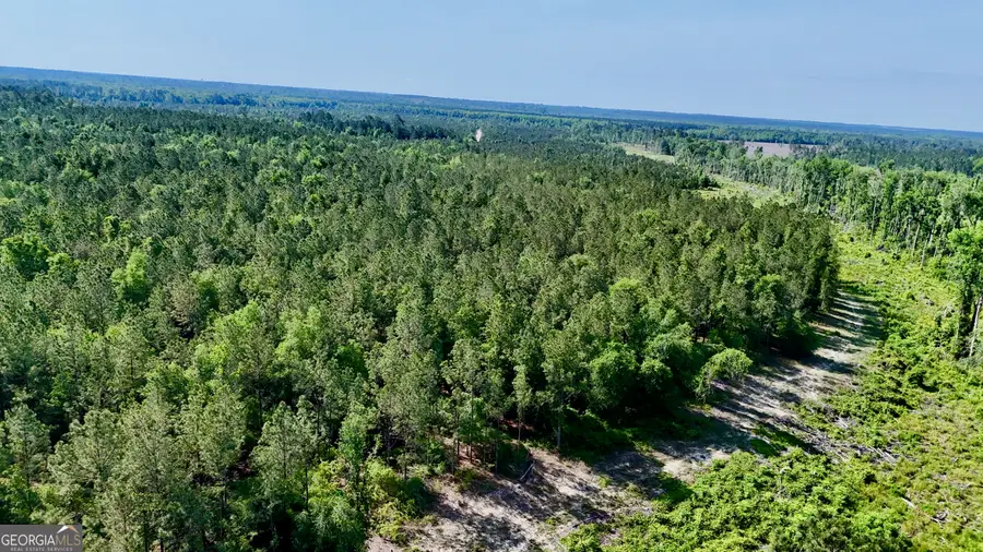 TRACT 2 Tillman Cemetery Road, Lumber City, GA 31549 - #3