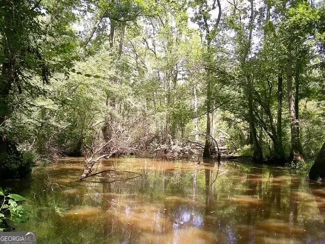 0 Highway 221 S, Kite, GA 31049 - #2