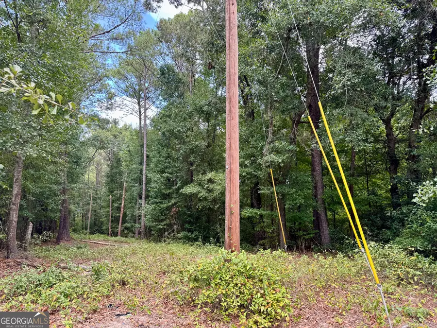 257 W Crusselle Street, Roberta, GA 31078 - #2
