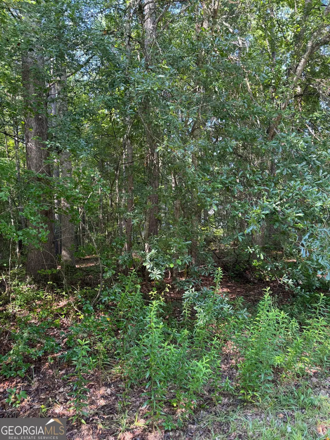 89 Trellis Court, Carrollton, GA 30116 - #1