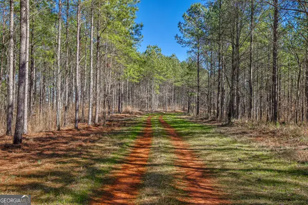 T1-2 Old Zebulon Road, Forsyth, GA 31029