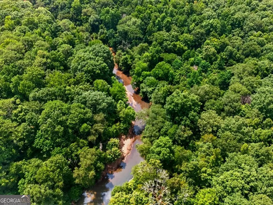 0 Highway 42, Forsyth, GA 31029 - #3