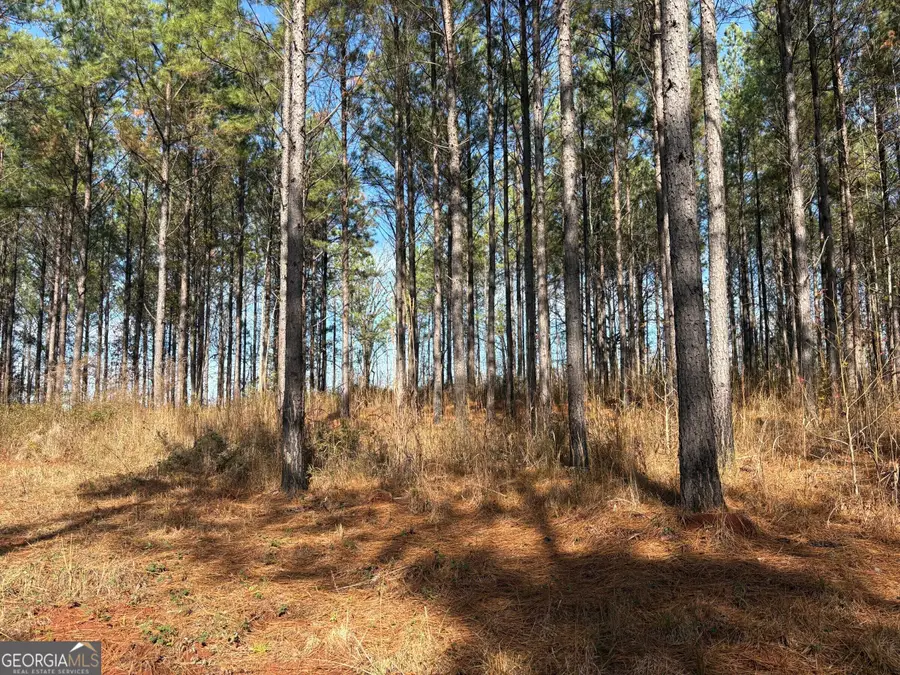 T2 Old Zebulon Road, Forsyth, GA 31029 - #2