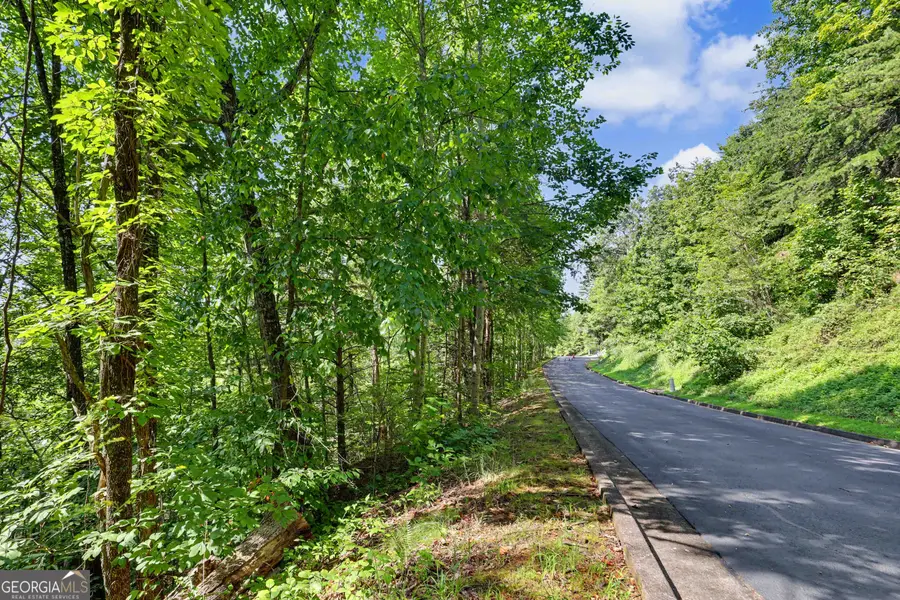 0 Waterfall Drive 5d, Clayton, GA 30525 - #3