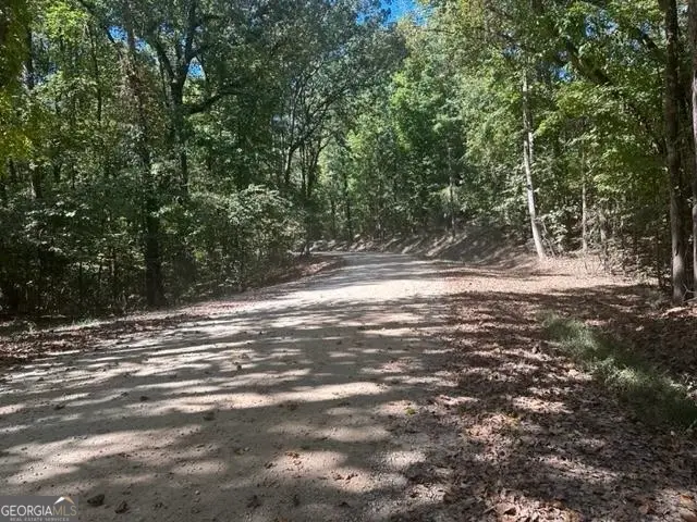 LOT Lake View Drive, Lavonia, GA 30553 - #1