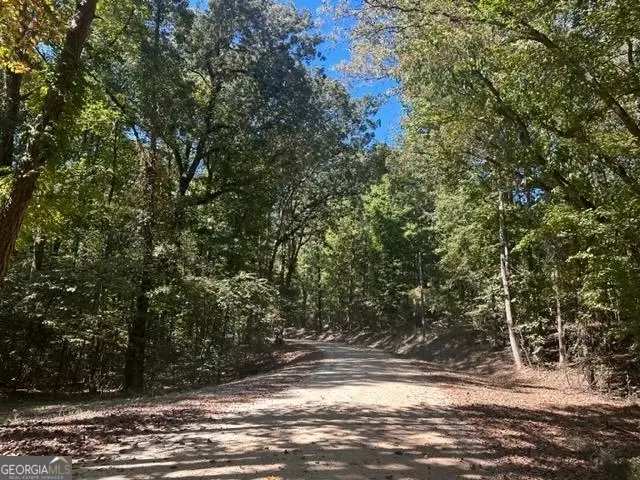 LOT Lake View Drive, Lavonia, GA 30553 - #2