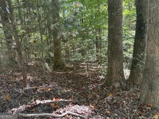 LOT Lake View Drive, Lavonia, GA 30553 - #3