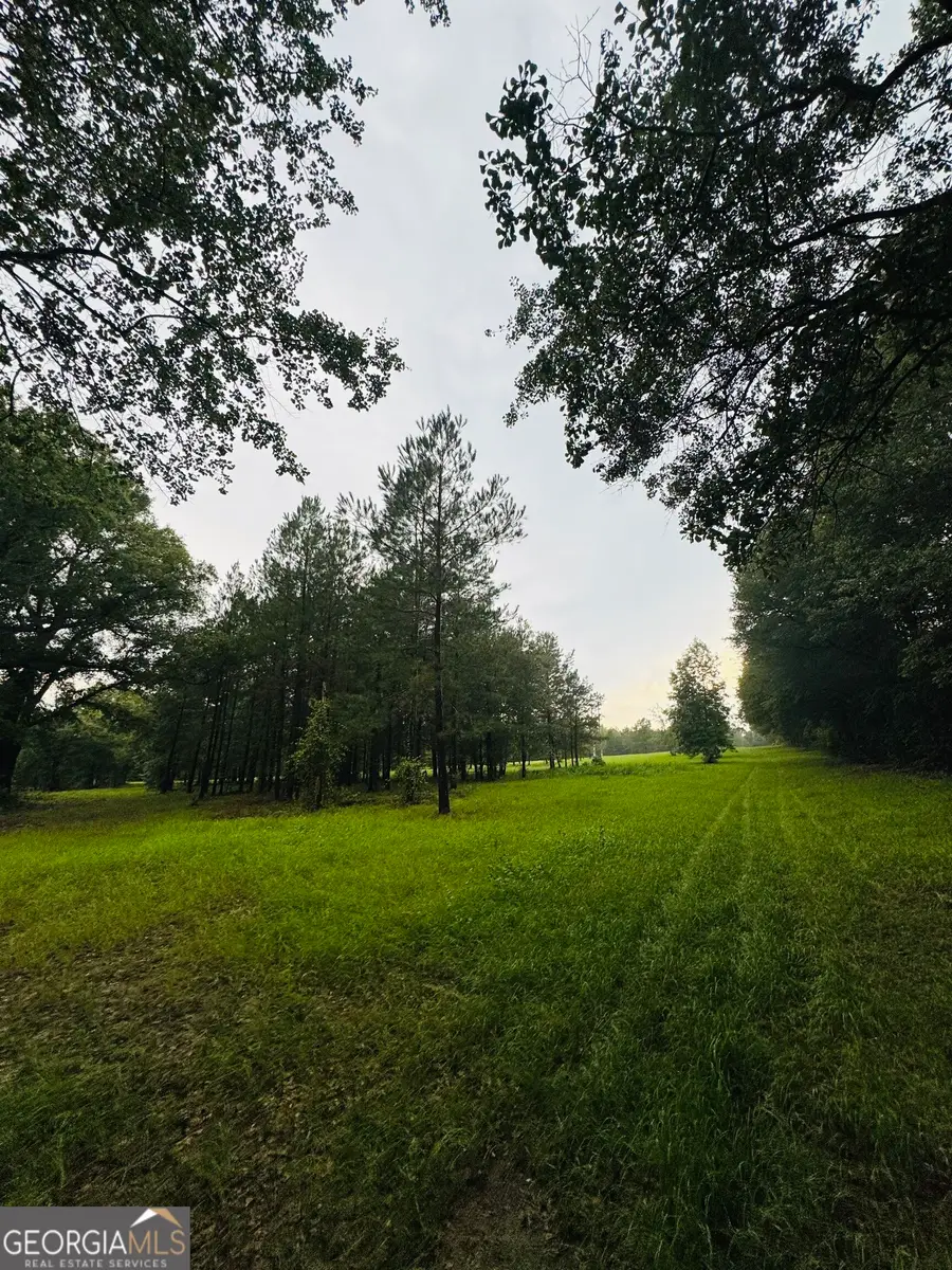 1351 Rogers Road, Glennville, GA 30427 - #2
