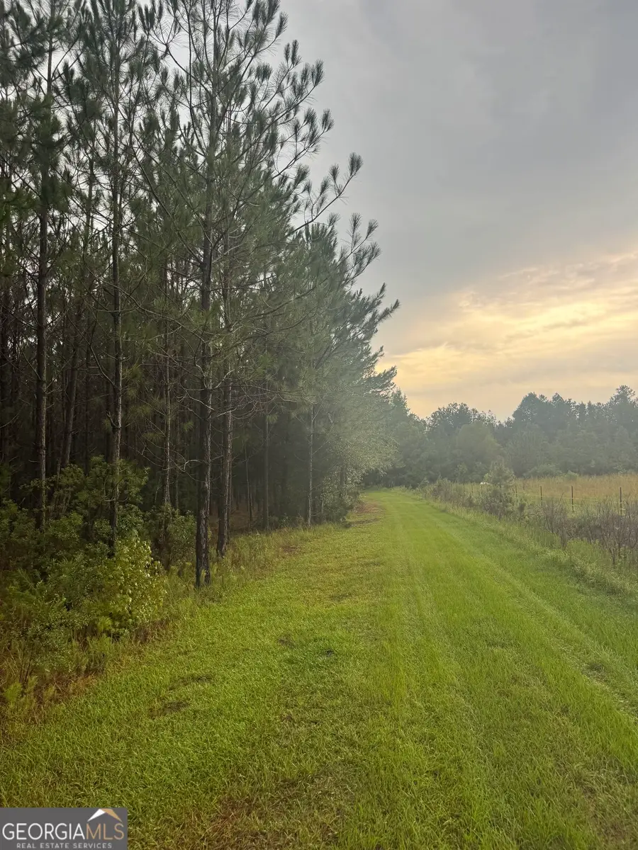 1351 Rogers Road, Glennville, GA 30427 - #3