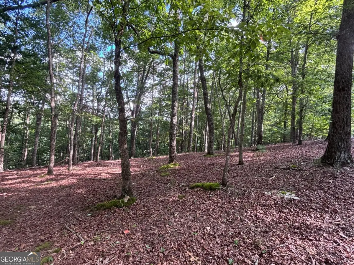 LOT 5 Westwood Avenue #5, Blairsville, GA 30512 - #1