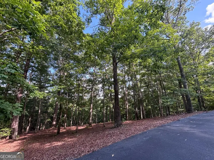 LOT 5 Westwood Avenue #5, Blairsville, GA 30512 - #3