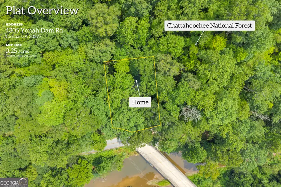4305 Yonah Dam Road, Toccoa, GA 30577 - #3