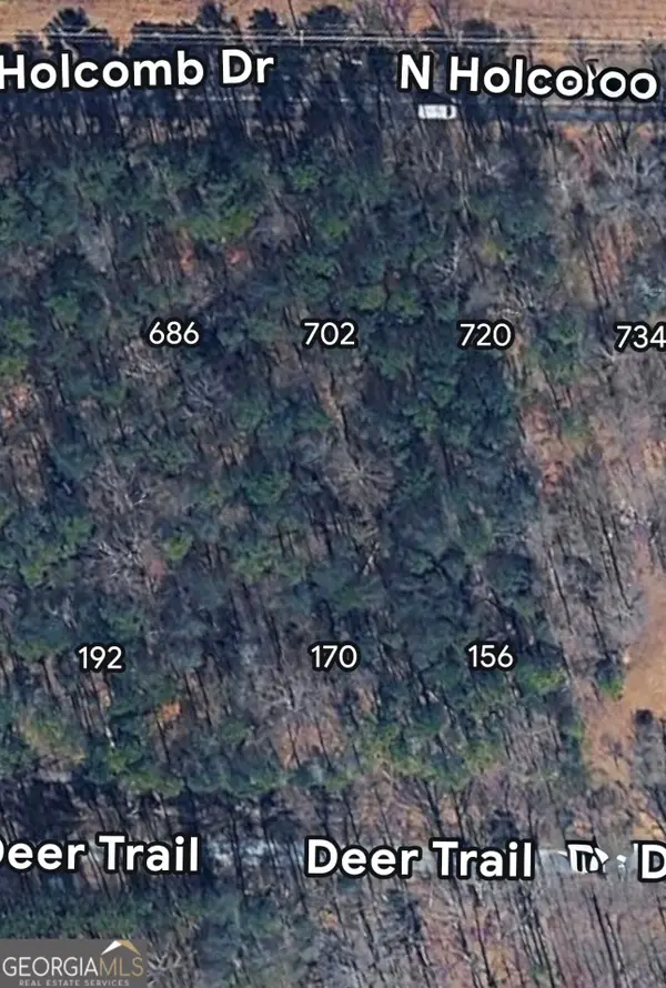 702 N Holcomb Drive, Martin, GA 30557