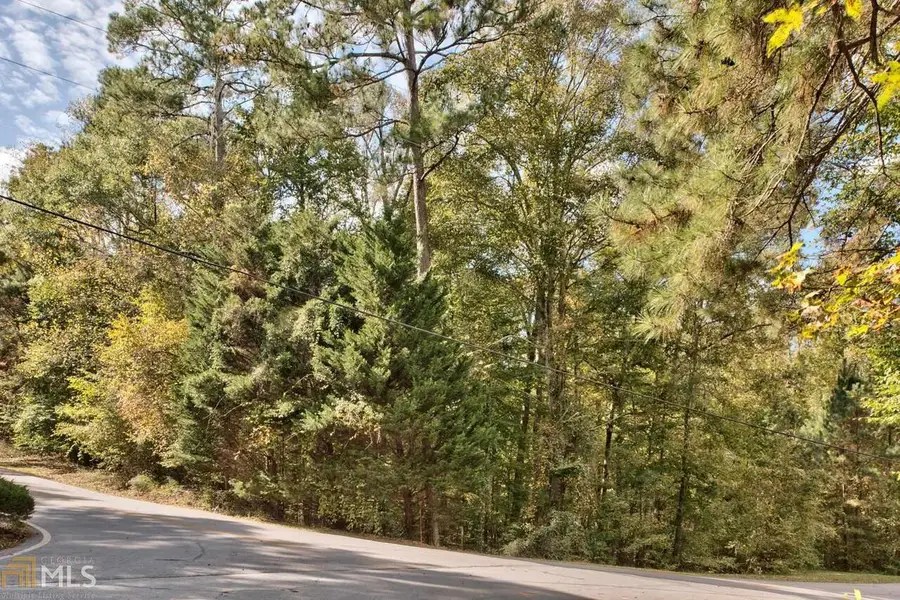 5.76AC Heidi Trail, Buckhead, GA 30625 - #3