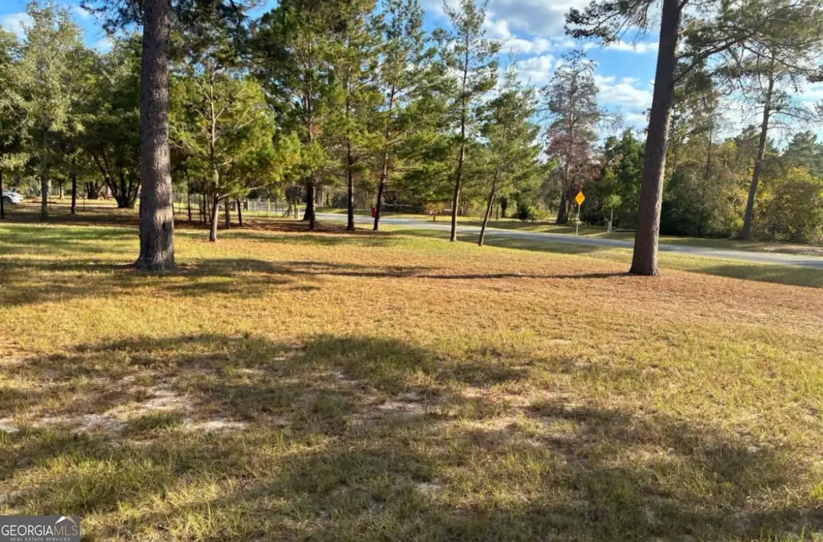 191 Rowell Road, Roberta, GA 31078 - #1