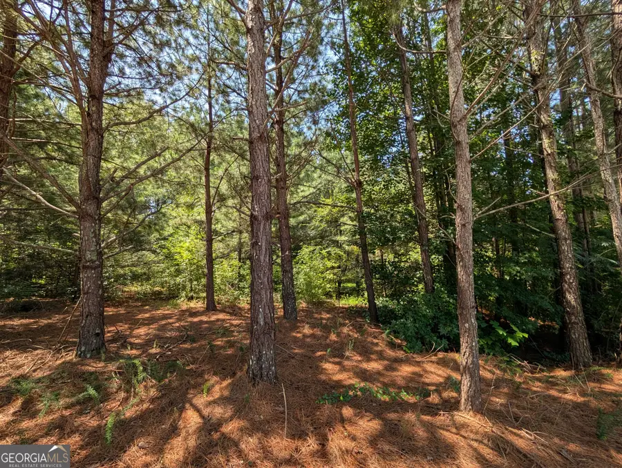 0 Brookmont Parkway, Douglasville, GA 30135 - #3