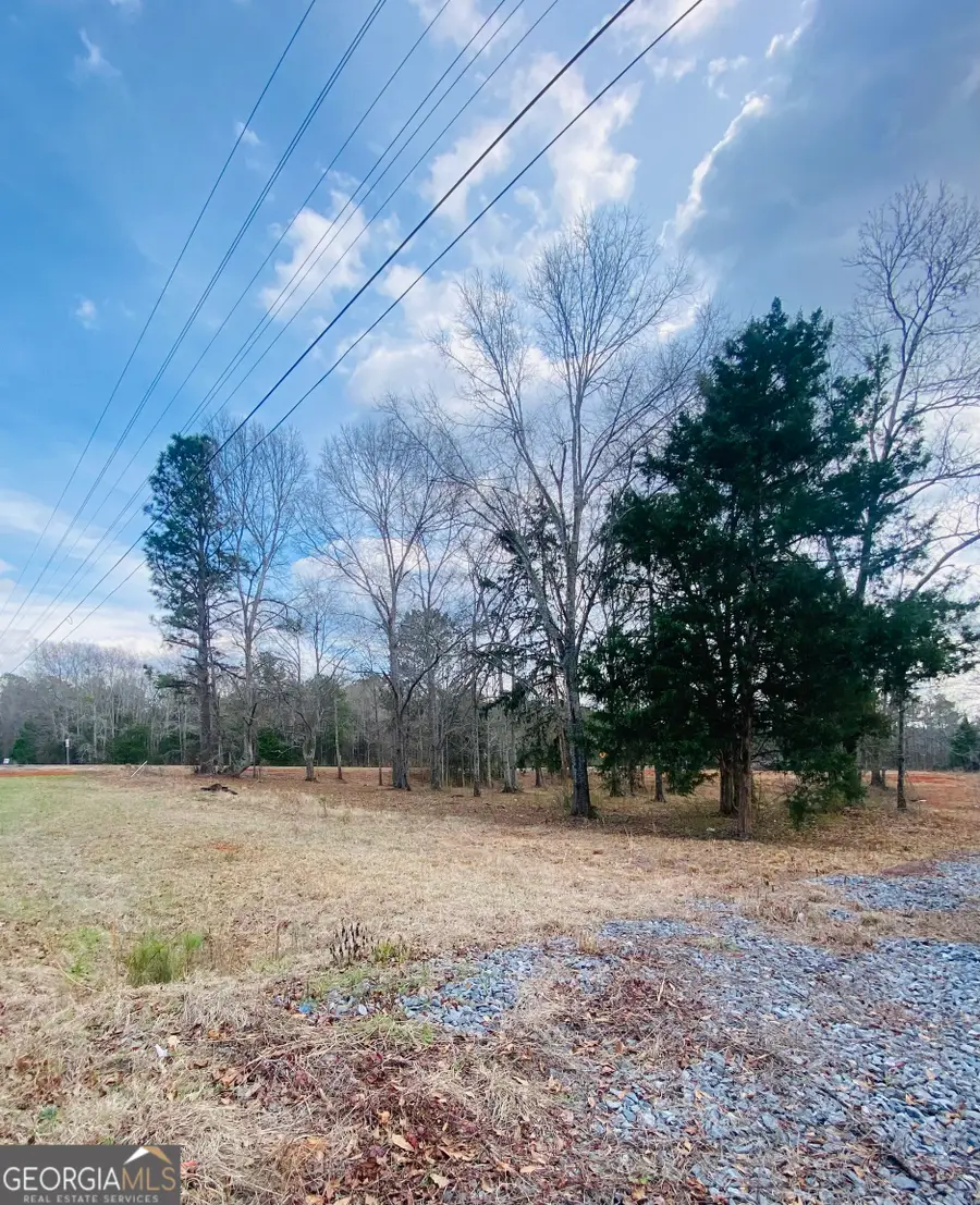 95 Knight Trail, Thomaston, GA 30286 - #3