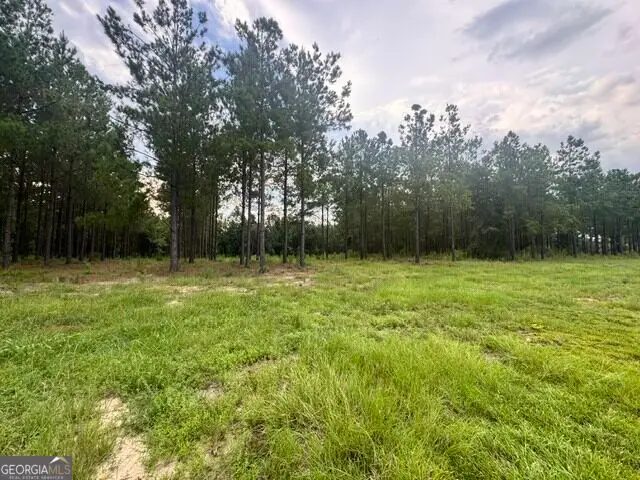 0 Dewey Thomas Rd, Dexter, GA 31019 - #2