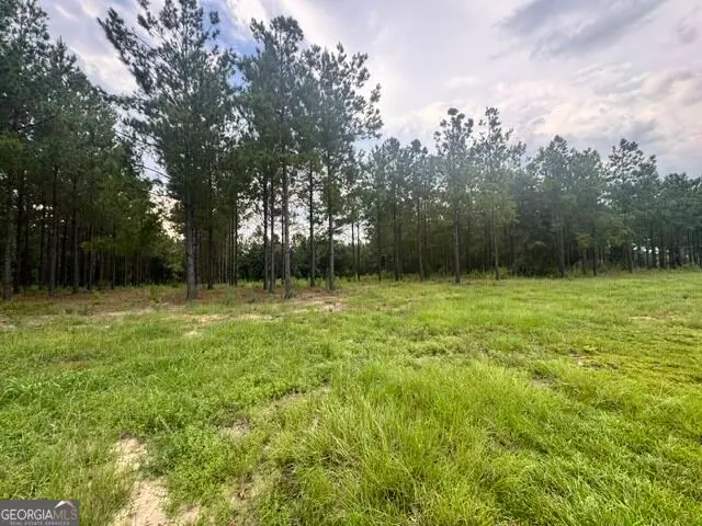 0 Dewey Thomas Rd, Dexter, GA 31019 - #3