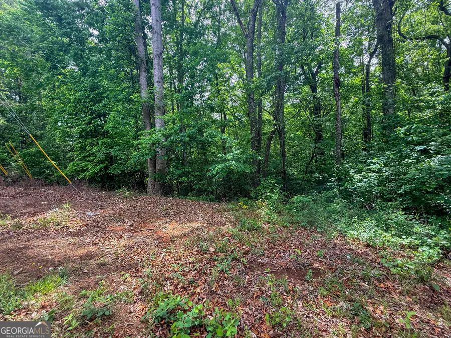 99 Lake Harbor Trail #LOTS 309-312, Martin, GA 30557 - #3
