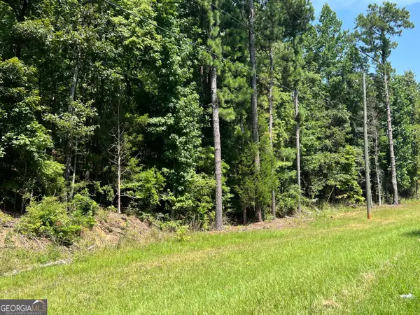 0 Davidson Road, West Point, GA 31833
