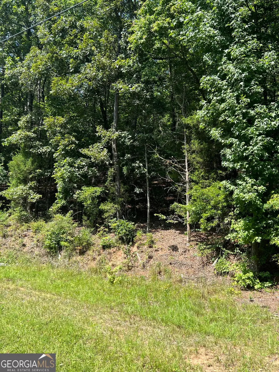 0 Davidson Road, West Point, GA 31833 - #2