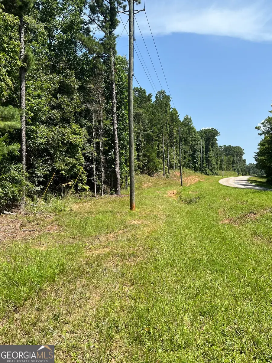 0 Davidson Road, West Point, GA 31833 - #3