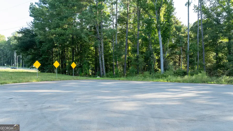 62 & 80 Turin Road, Senoia, GA 30276 - #3
