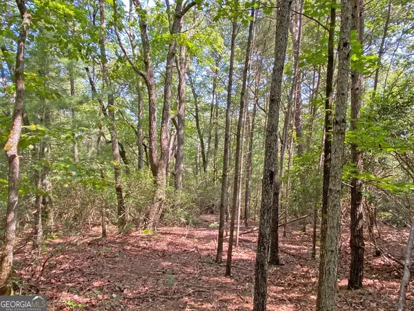 10.59AC T S Jarrard Road, Dahlonega, GA 30533