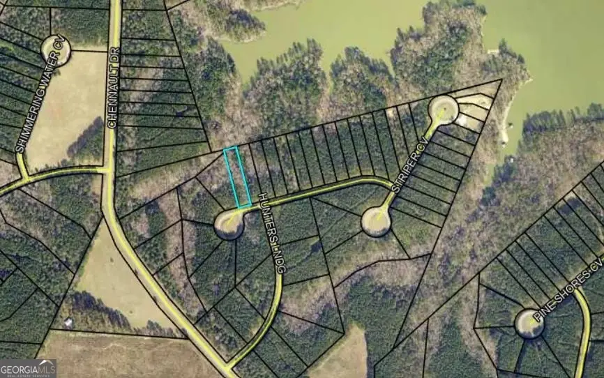 1135 Watersedge Cove, Tignall, GA 30668 - #2