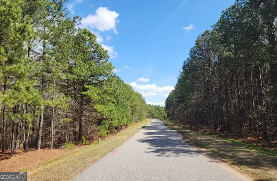 1135 Watersedge Cove, Tignall, GA 30668 - #3