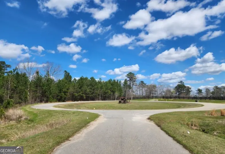 1284 Striper Cove, Tignall, GA 30668 - #2
