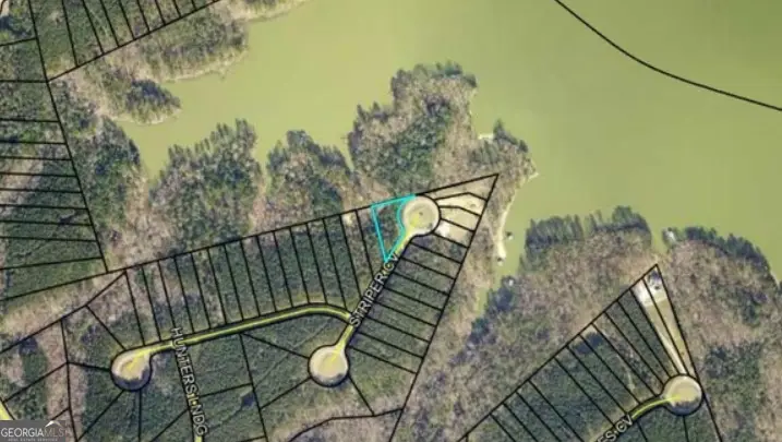 1284 Striper Cove, Tignall, GA 30668 - #3