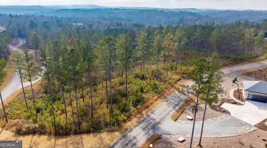LOT 65 High River Landing, Ellijay, GA 30540 - #2