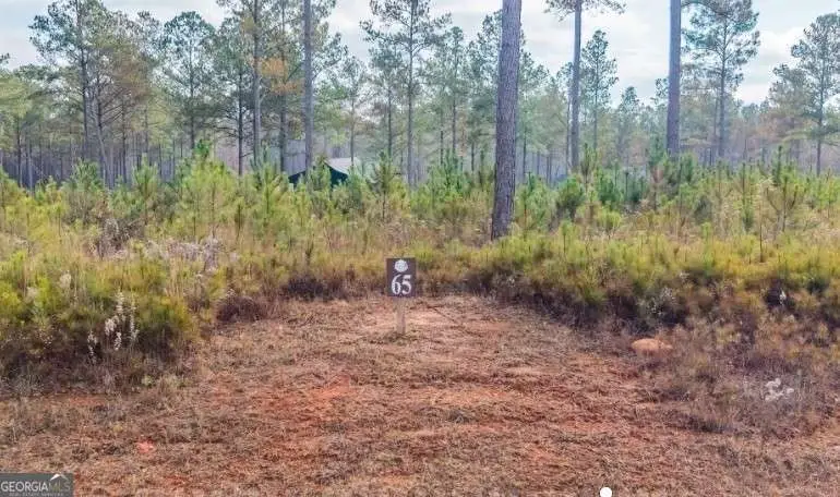 LOT 65 High River Landing, Ellijay, GA 30540 - #3