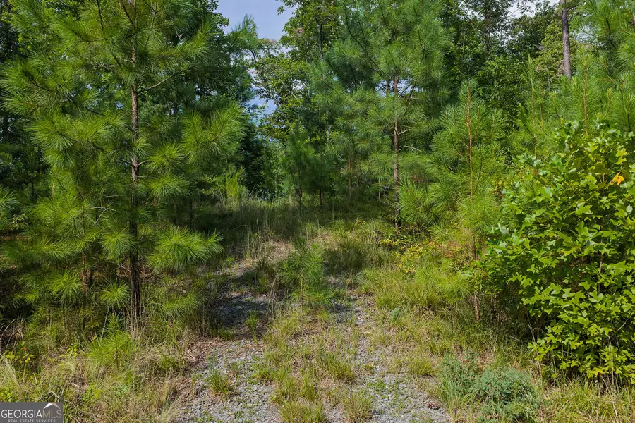 LOT 159R Harris Creek Drive, Ellijay, GA 30540 - #3