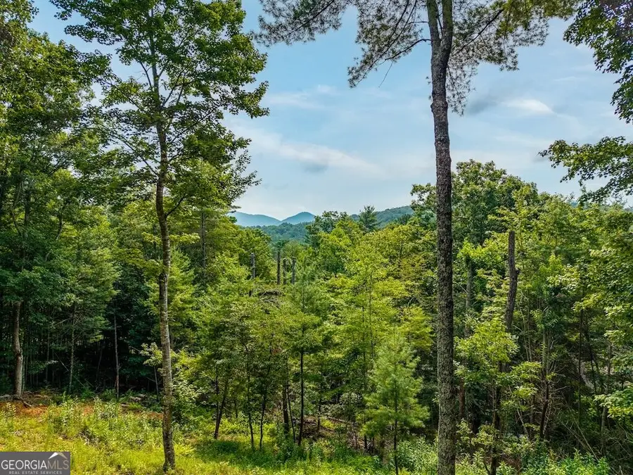 120 Bell Camp Ridge Road, Blue Ridge, GA 30513 - #3