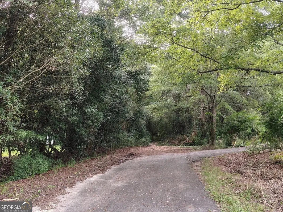 0 Azalea Drive, Summerville, GA 30747 - #1