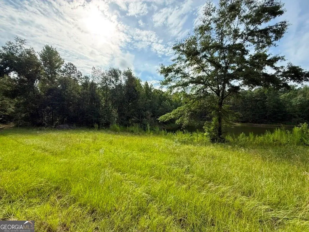1940 Liberty Church Road, Hephzibah, GA 30815 - #1