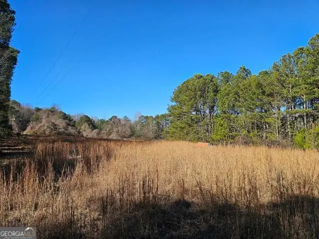 0 Daniel Road, Villa Rica, GA 30180 - #3