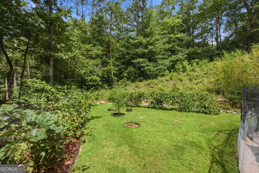 346 Watkins Field Road, Clayton, GA 30525 - #3