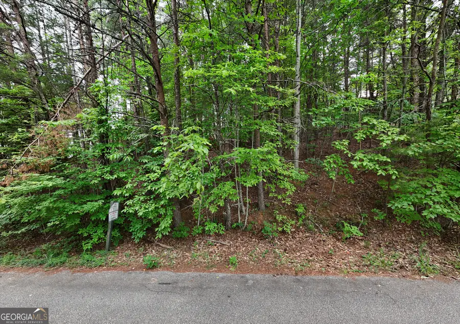 LOT B2 Starlight Drive, Sautee Nacoochee, GA 30571 - #3