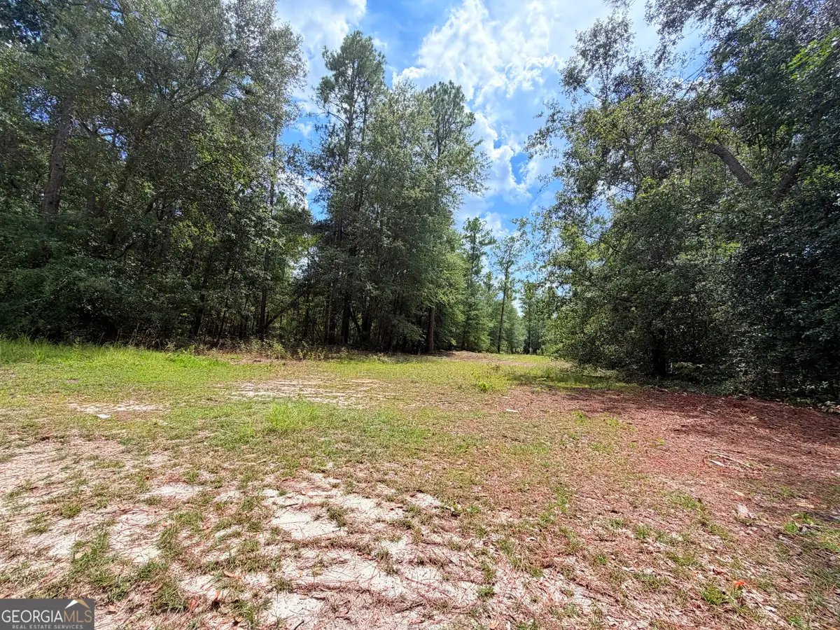0 Lakeview Dr, Alamo, GA 30411 - #1