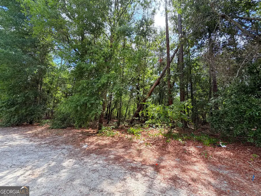 0 Lakeview Dr, Alamo, GA 30411 - #2