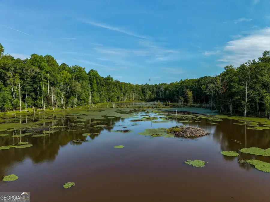 1709 Poplar Ridge Road, Ellaville, GA 31806 - #2