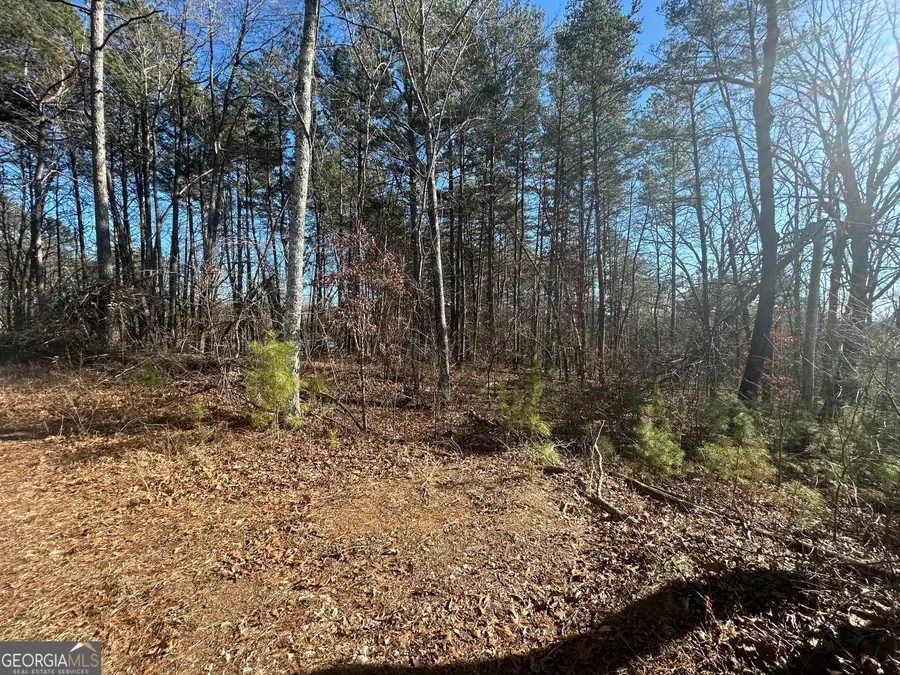 0 Highland Tree Court, Ranger, GA 30734 - #2