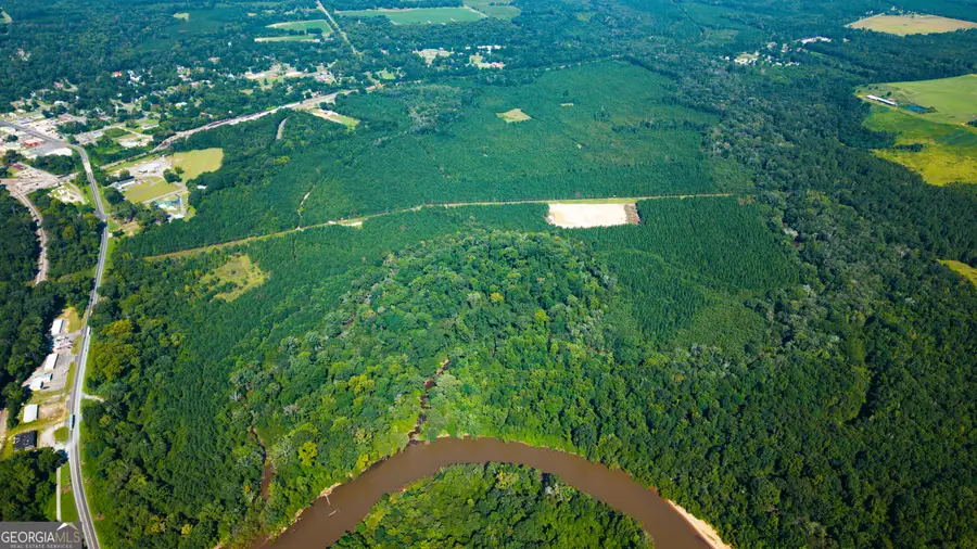 0 Buck Creek Bypass, Oglethorpe, GA 31068 - #2