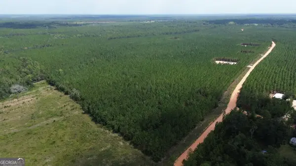 TRACT 1 Penny Morris Road, Baxley, GA 31513