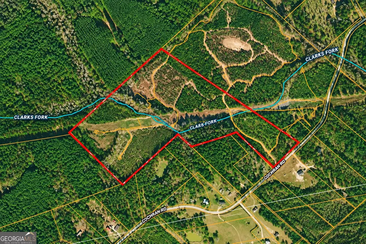47 ACRES Cochran Road, Madison, GA 30650 - #1